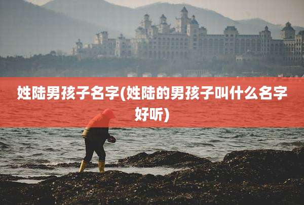 姓陆男孩子名字(姓陆的男孩子叫什么名字好听)