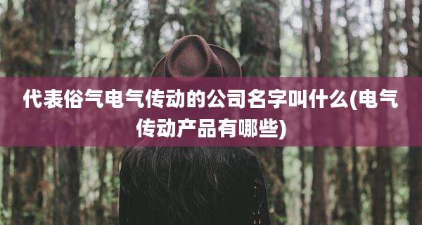 代表俗气电气传动的公司名字叫什么(电气传动产品有哪些)