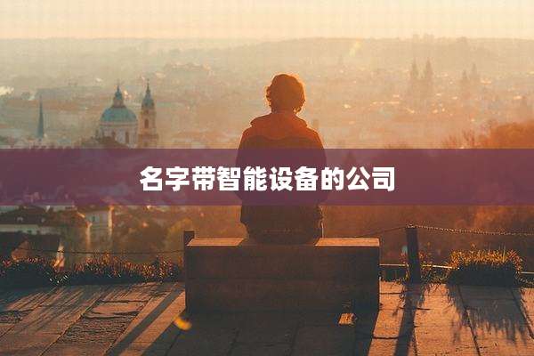 名字带智能设备的公司