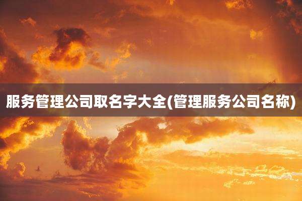 服务管理公司取名字大全(管理服务公司名称)