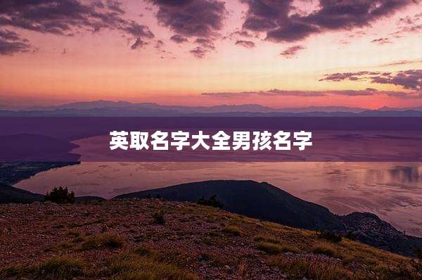 英取名字大全男孩名字