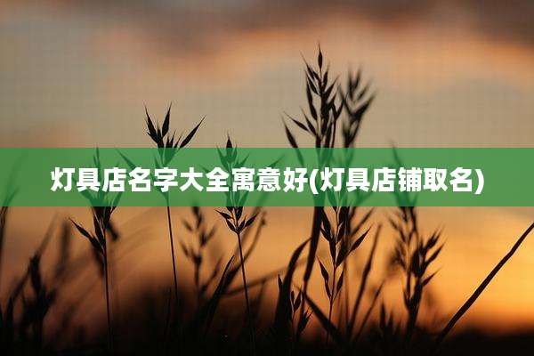 灯具店名字大全寓意好(灯具店铺取名)