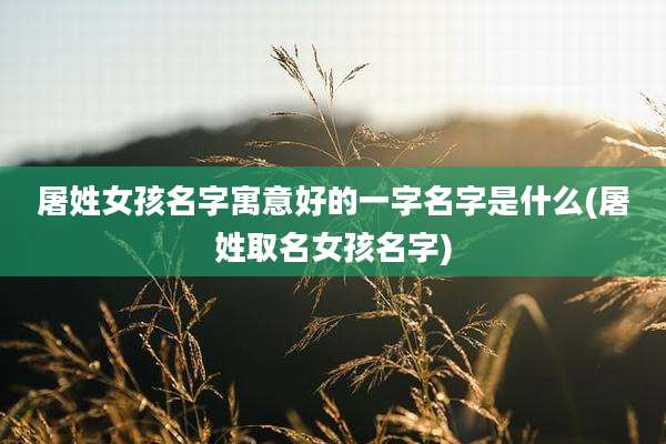 屠姓女孩名字寓意好的一字名字是什么(屠姓取名女孩名字)