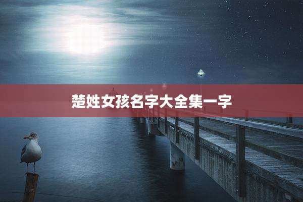 楚姓女孩名字大全集一字