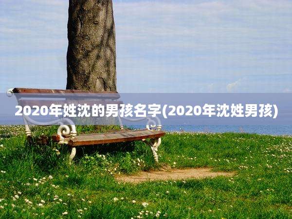 2020年姓沈的男孩名字(2020年沈姓男孩)