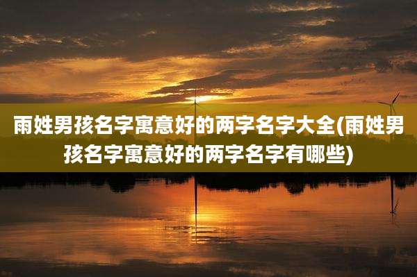 雨姓男孩名字寓意好的两字名字大全(雨姓男孩名字寓意好的两字名字有哪些)