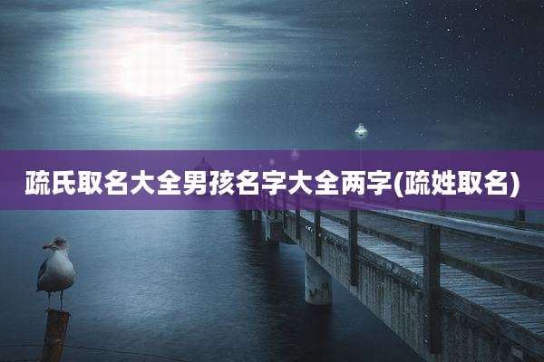 疏氏取名大全男孩名字大全两字(疏姓取名)