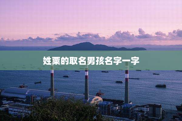 姓粟的取名男孩名字一字