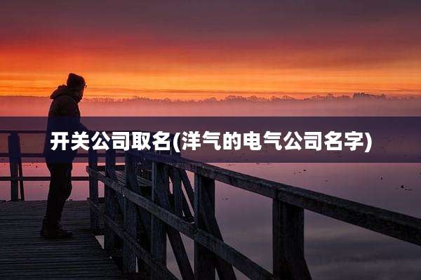 开关公司取名(洋气的电气公司名字)