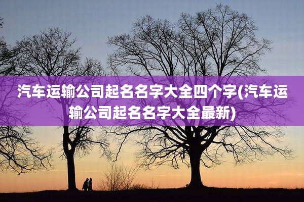 汽车运输公司起名名字大全四个字(汽车运输公司起名名字大全最新)