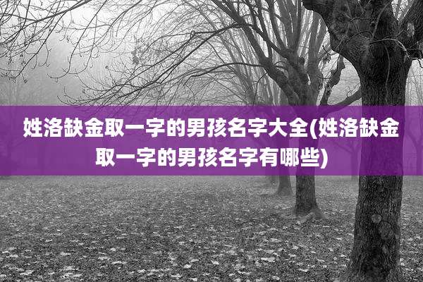姓洛缺金取一字的男孩名字大全(姓洛缺金取一字的男孩名字有哪些)