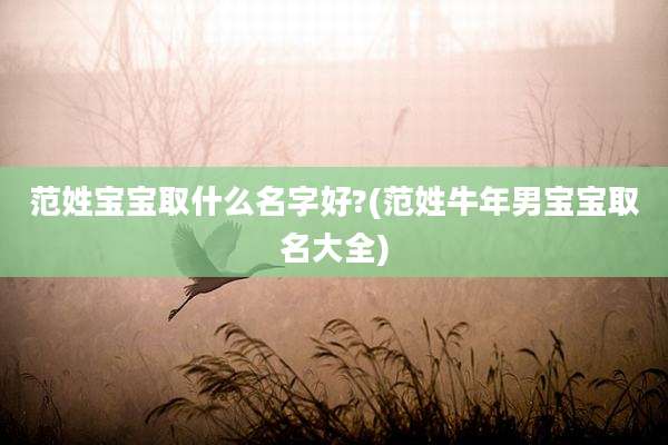 范姓宝宝取什么名字好?(范姓牛年男宝宝取名大全)