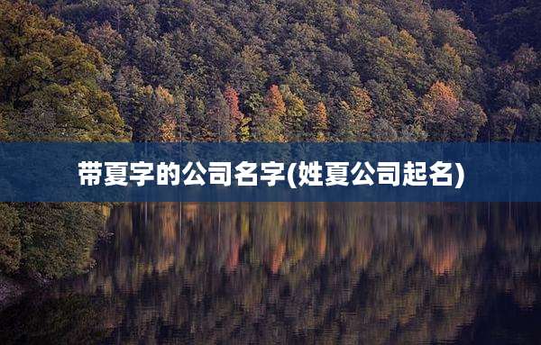 带夏字的公司名字(姓夏公司起名)