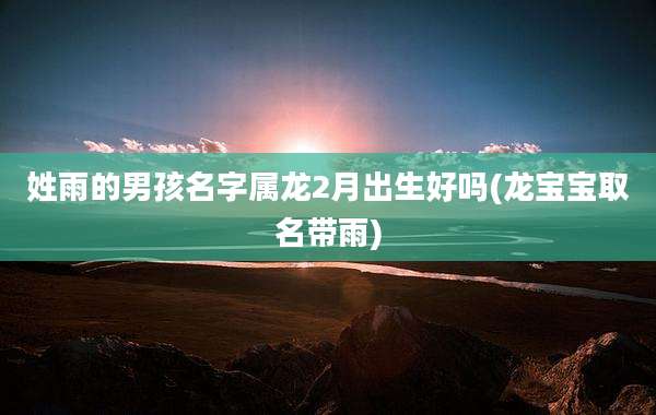 姓雨的男孩名字属龙2月出生好吗(龙宝宝取名带雨)