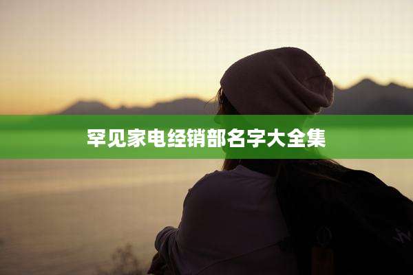 罕见家电经销部名字大全集
