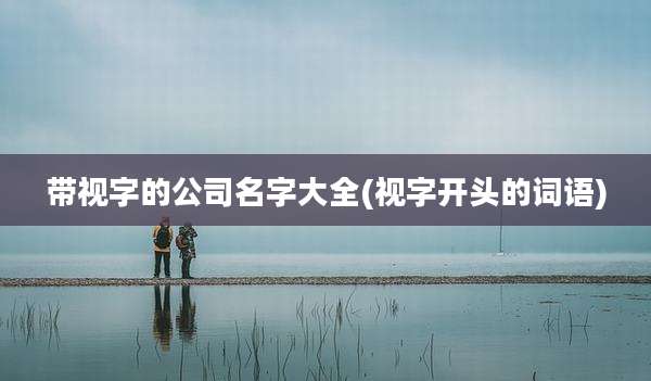 带视字的公司名字大全(视字开头的词语)