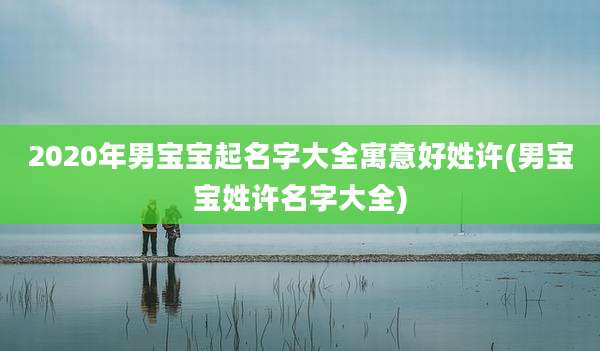 2020年男宝宝起名字大全寓意好姓许(男宝宝姓许名字大全)