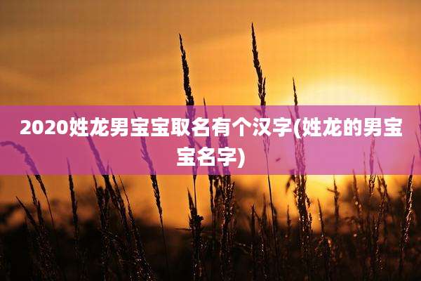 2020姓龙男宝宝取名有个汉字(姓龙的男宝宝名字)