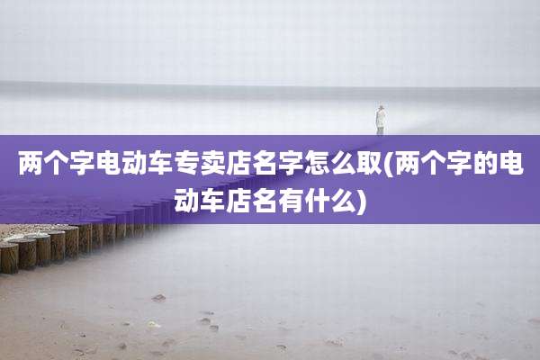 两个字电动车专卖店名字怎么取(两个字的电动车店名有什么)