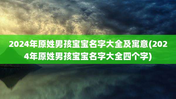 2024年原姓男孩宝宝名字大全及寓意(2024年原姓男孩宝宝名字大全四个字)