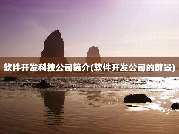 软件开发科技公司简介(软件开发公司的前景)