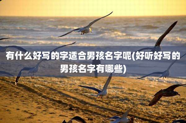 有什么好写的字适合男孩名字呢(好听好写的男孩名字有哪些)