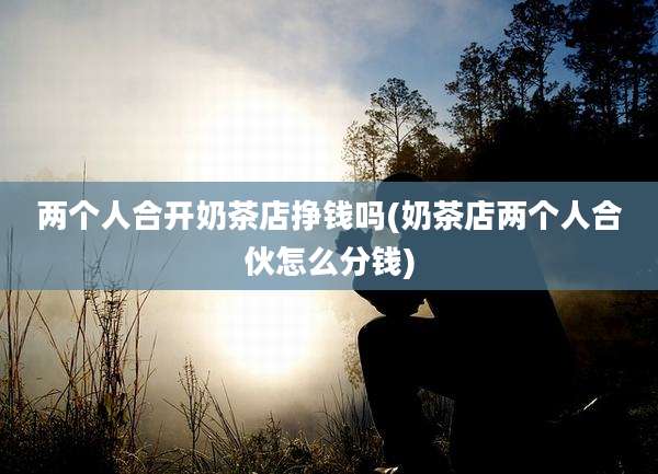 两个人合开奶茶店挣钱吗(奶茶店两个人合伙怎么分钱)