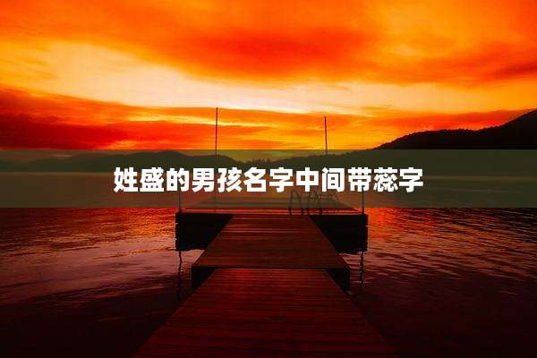 姓盛的男孩名字中间带蕊字