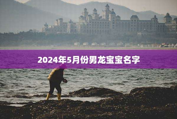 2024年5月份男龙宝宝名字