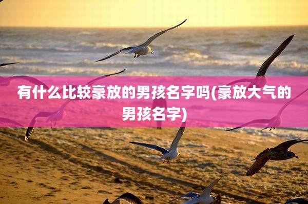 有什么比较豪放的男孩名字吗(豪放大气的男孩名字)