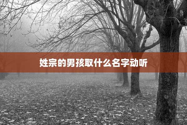 姓宗的男孩取什么名字动听