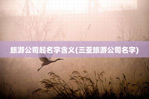 旅游公司起名字含义(三亚旅游公司名字)