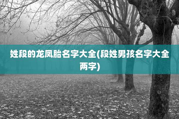 姓段的龙凤胎名字大全(段姓男孩名字大全两字)