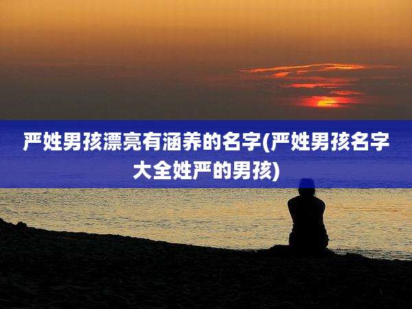 严姓男孩漂亮有涵养的名字(严姓男孩名字大全姓严的男孩)