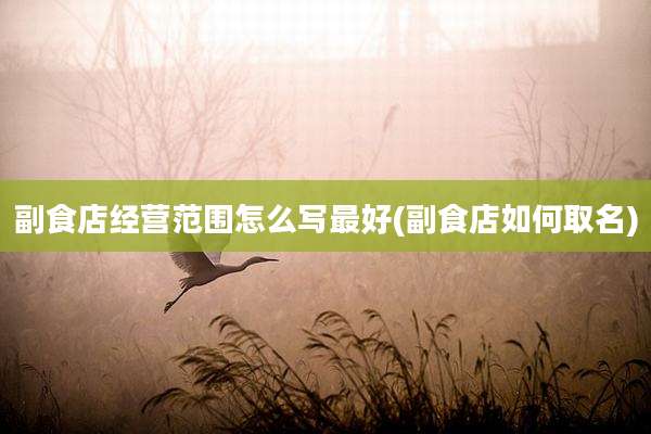 副食店经营范围怎么写最好(副食店如何取名)