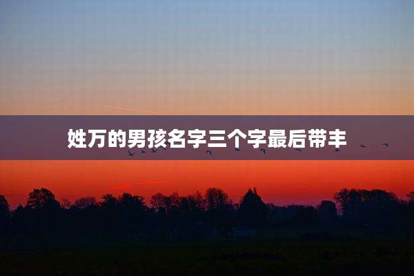 姓万的男孩名字三个字最后带丰