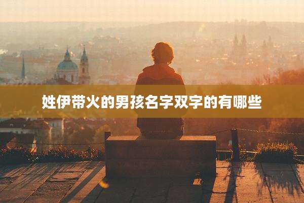 姓伊带火的男孩名字双字的有哪些