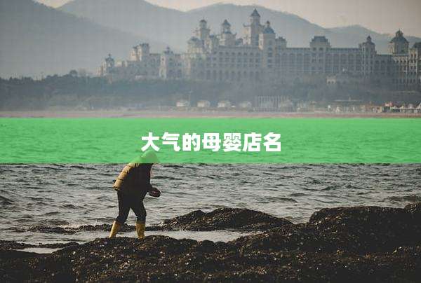 大气的母婴店名
