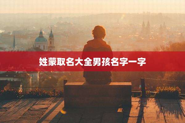 姓蒙取名大全男孩名字一字