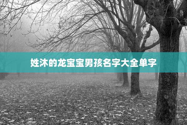 姓沐的龙宝宝男孩名字大全单字