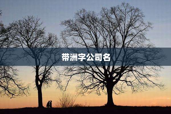 带洲字公司名