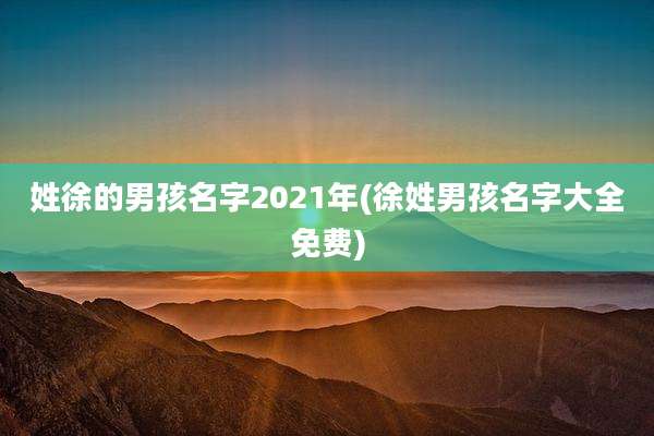 姓徐的男孩名字2021年(徐姓男孩名字大全免费)