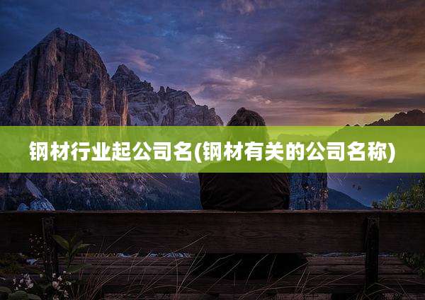 钢材行业起公司名(钢材有关的公司名称)