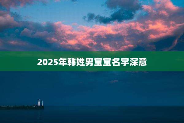 2025年韩姓男宝宝名字深意