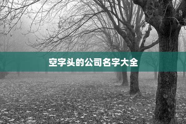 空字头的公司名字大全