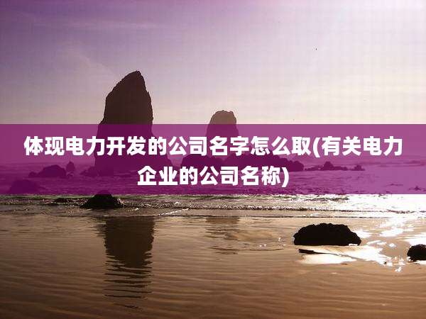 体现电力开发的公司名字怎么取(有关电力企业的公司名称)