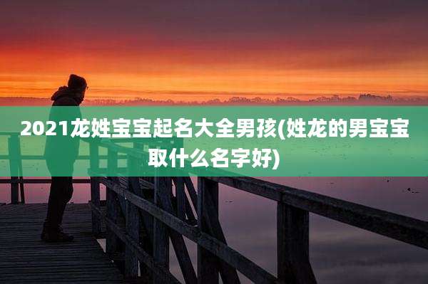 2021龙姓宝宝起名大全男孩(姓龙的男宝宝取什么名字好)