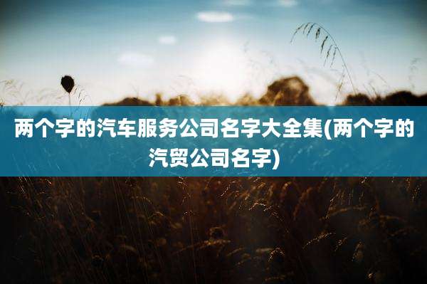 两个字的汽车服务公司名字大全集(两个字的汽贸公司名字)