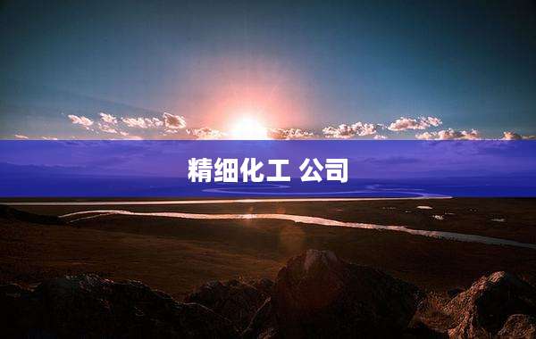 精细化工 公司