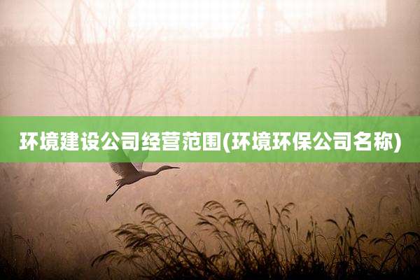 环境建设公司经营范围(环境环保公司名称)